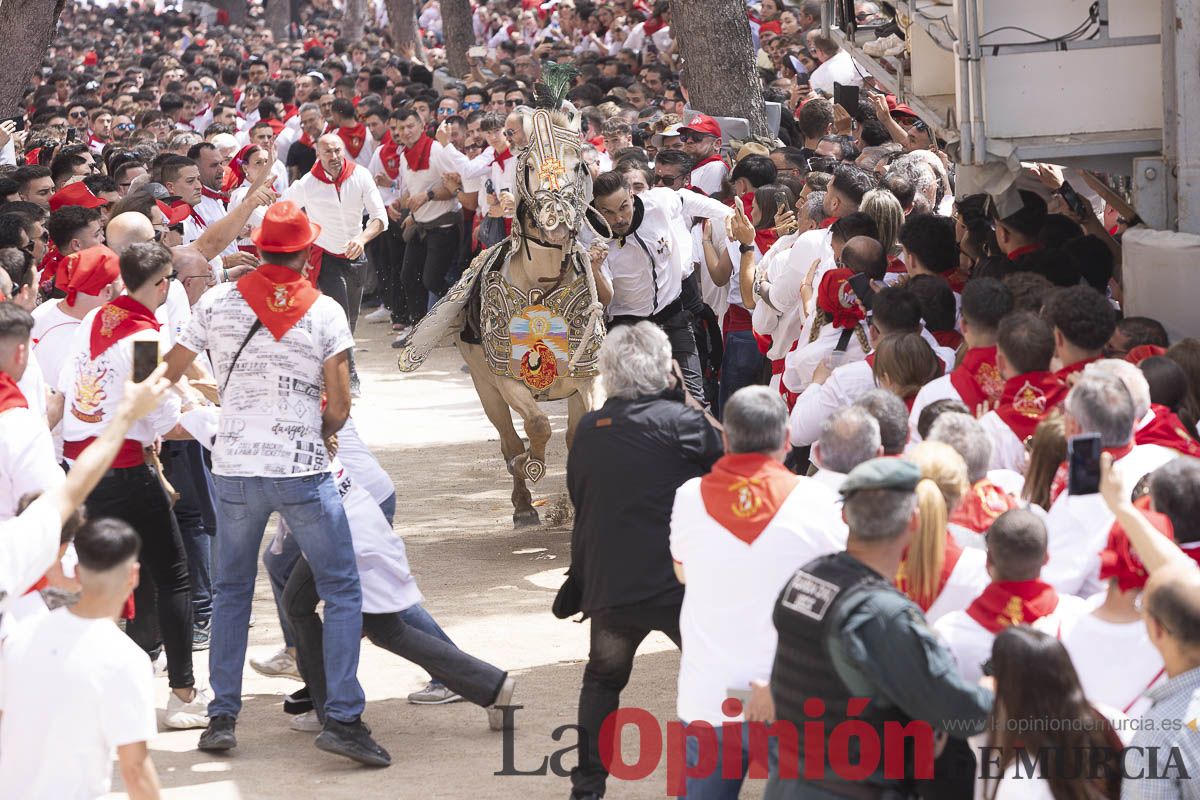 Así se ha vivido la carrera de Los Caballos del Vino en Caravaca