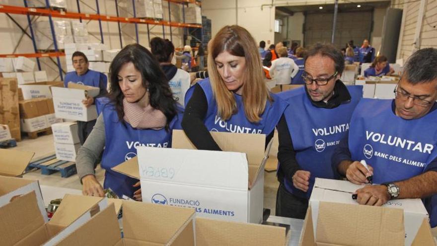 Un grup de voluntaris treballant en el Gran Recapte, el 2016.