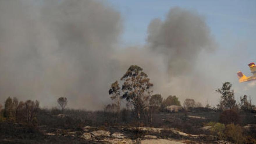 La Xunta da por controlado el incendio que afecta al parque de As Fragas do Eume