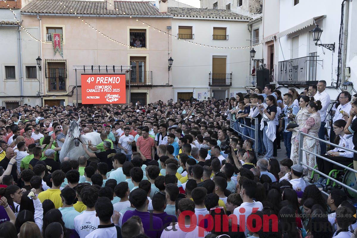 Fiestas de Caravaca | Entrega de premios del concurso morfológico
