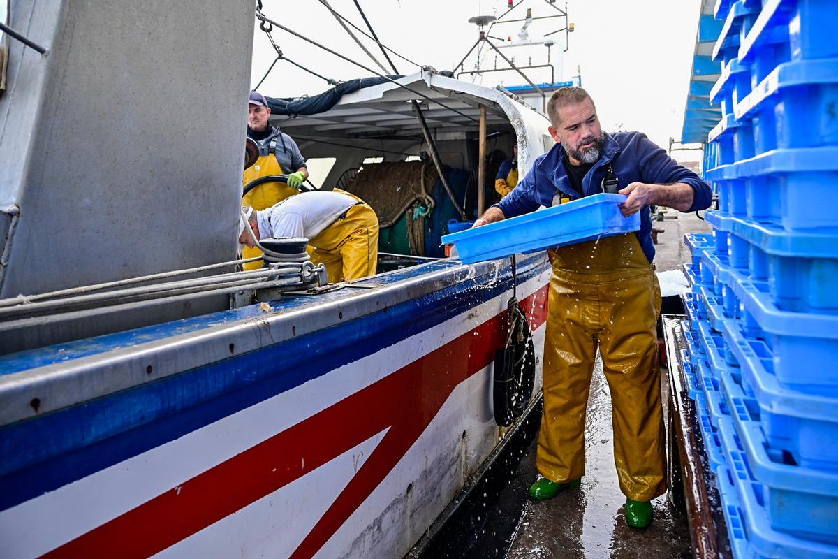 Manuel Peña, patrón mayor de la cofradía de Castelló, descarga pescado de su embarcación en la lonja del Grau, en una imagen reciente.