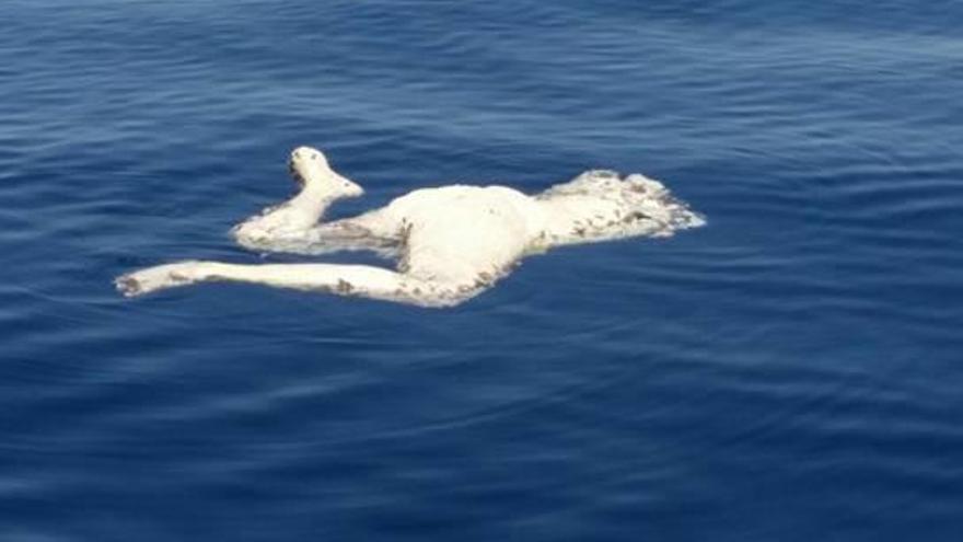 El cuerpo hallado en la costa de Valencia podría haber sido cortado por una hélice