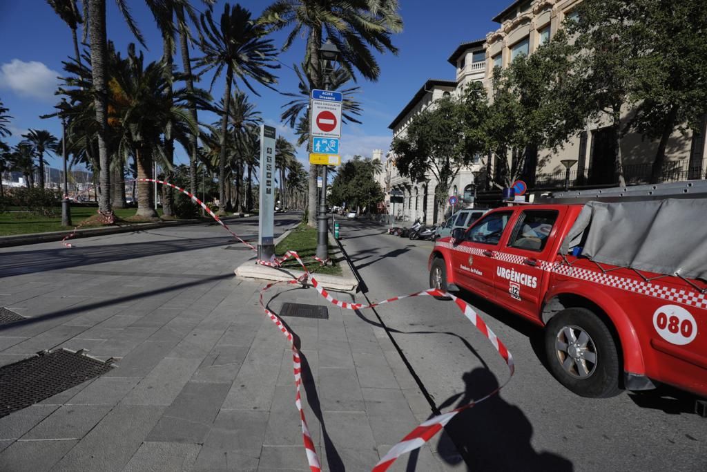 Cerrado el acceso para peatones al paseo Sagrera por las fuertes rachas de viento