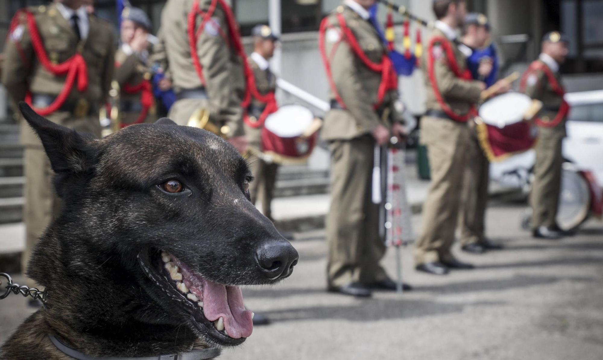 EN IMÁGENES | La Guardia Civil cumple 181 años sin una arruga