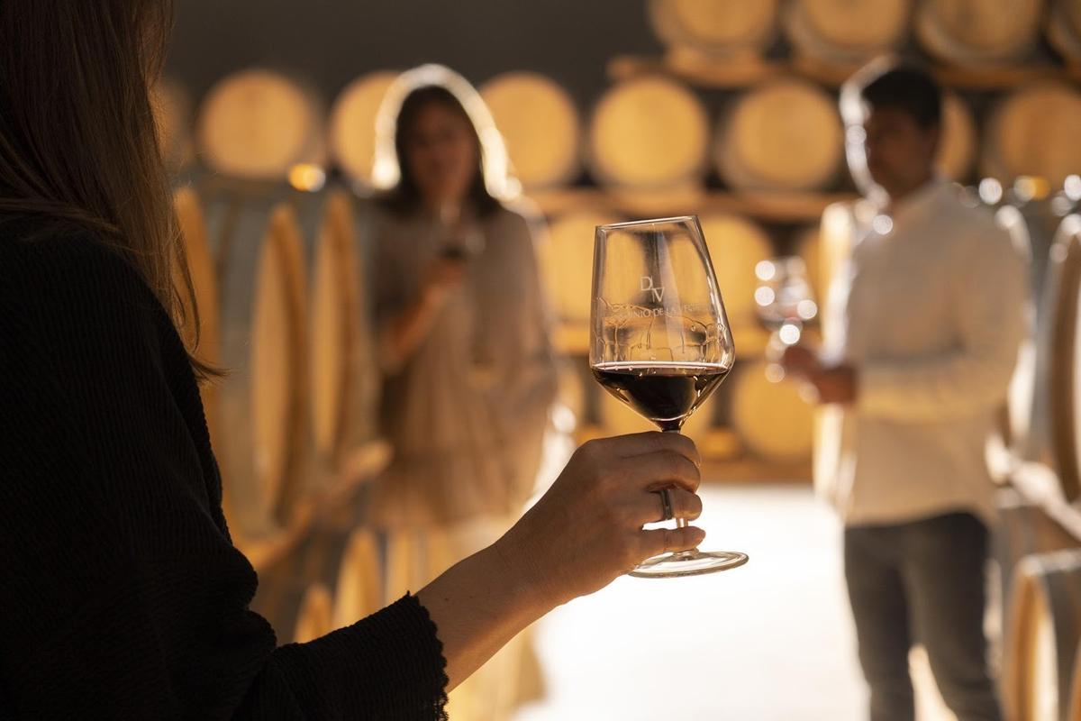 Dominio de la Vega elabora algunos de los vinos y cavas más apreciados por los consumidores.