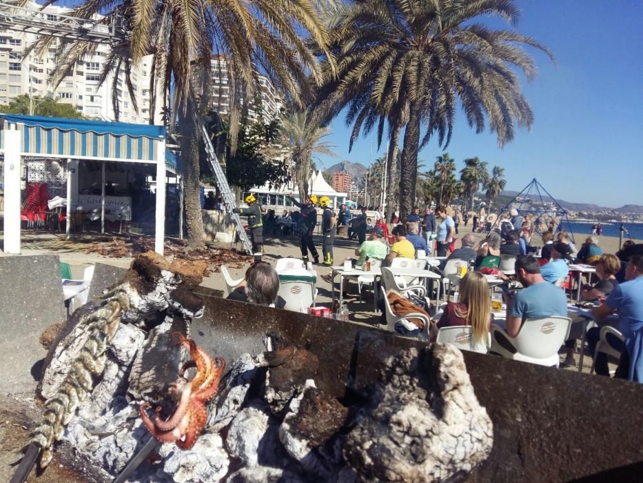 Una mujer herida al caerle restos de una palmera