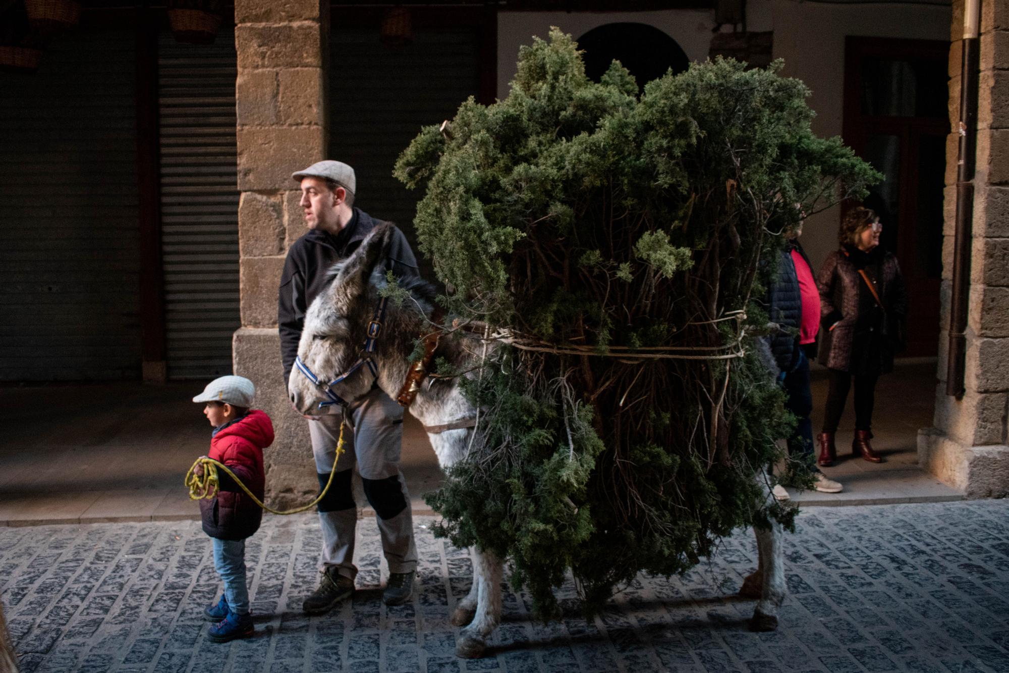 Sant Antoni en Morella.jpg