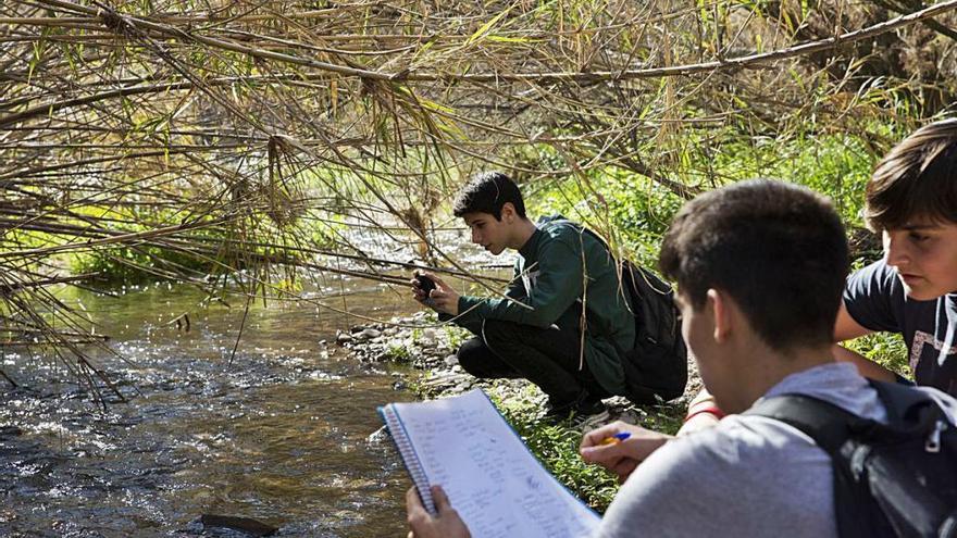 Alumnos del colegio Don Bosco estudian el ecosistema del río Seco-Montnegre.