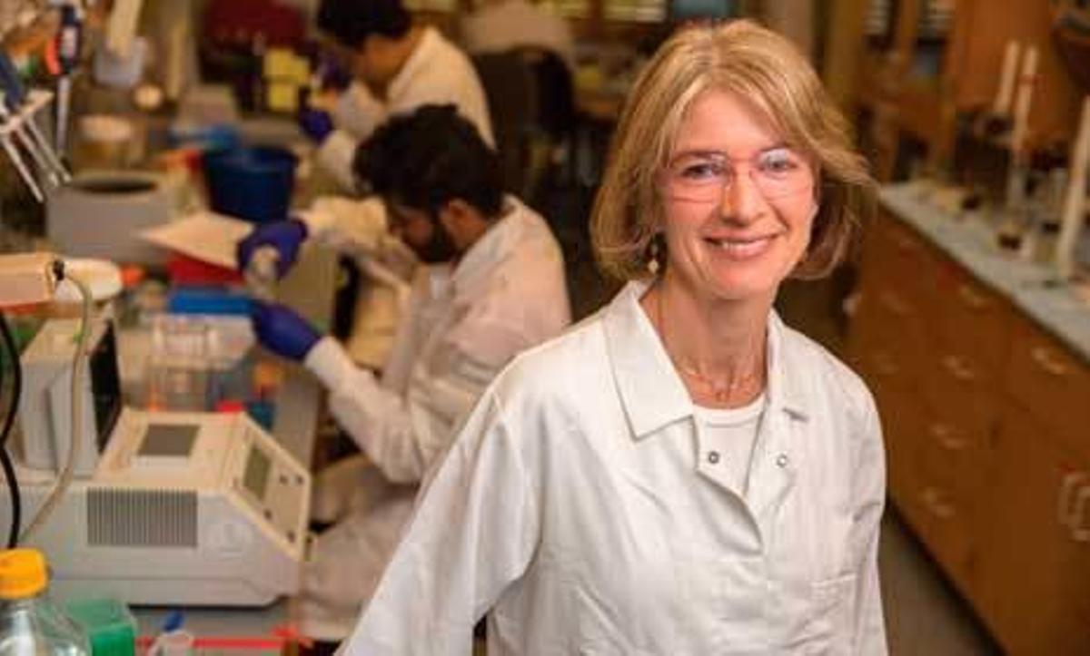 Las grandes revolucionarias de la ingeniería genética