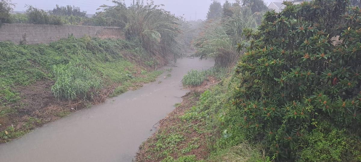 La crecida del río Vaca a su paso por la Valldigna.