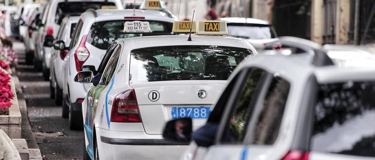 Caravana de taxis en Santa Cruz.