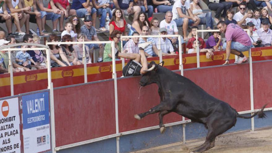 Imatge d&#039;arxiu dels correbous a la plaça de l&#039;any passat.