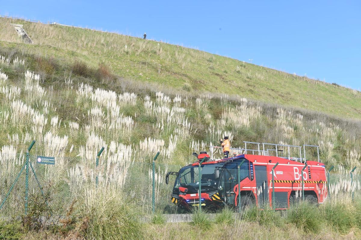 Dispositivo de caza del jabalí en el aeropuerto de Alvedro