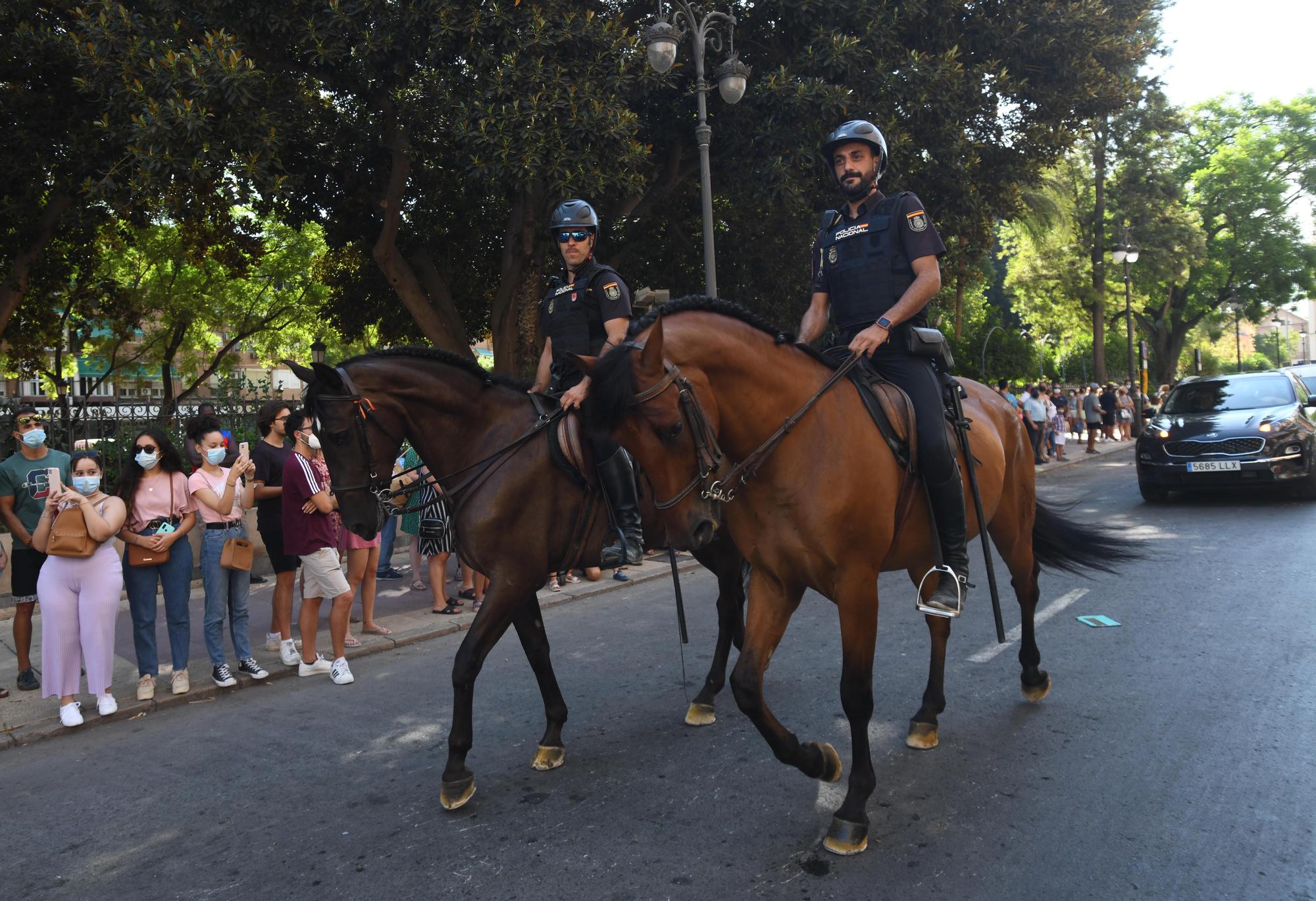 Paseo-desfile de carruajes y caballos en Murcia