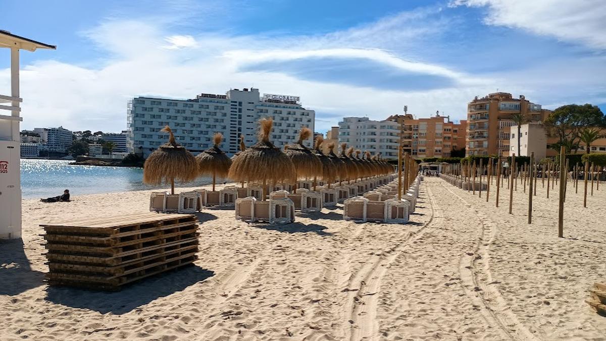 Playa en Palmanova con hamacas y sombrillas, este domingo
