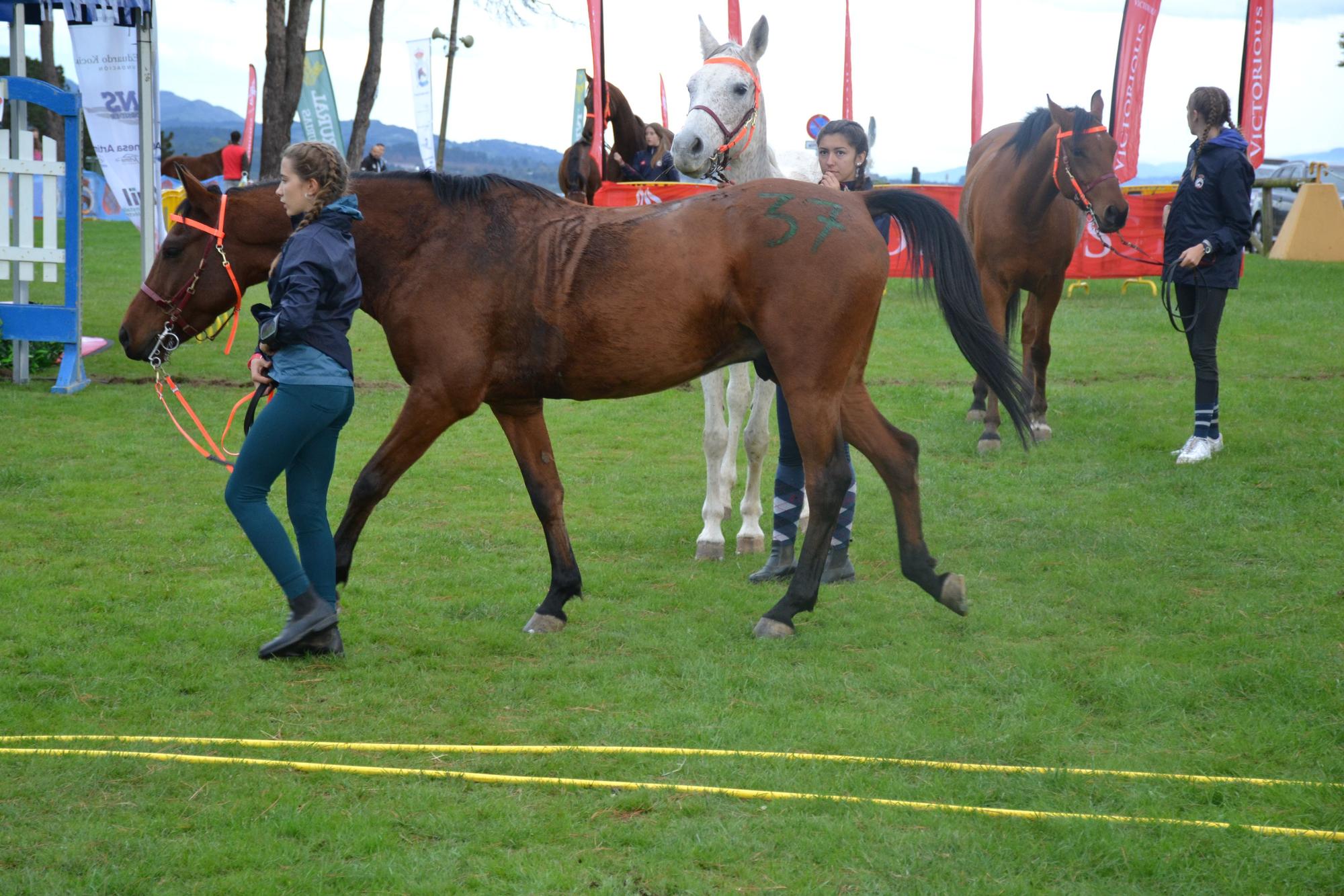 En imagenes: Campeonato de España raid interautonomías en Llanera