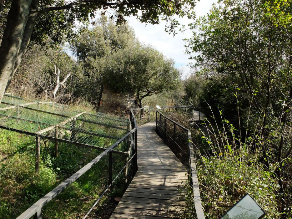 Centre de Tortugues de l''Albera