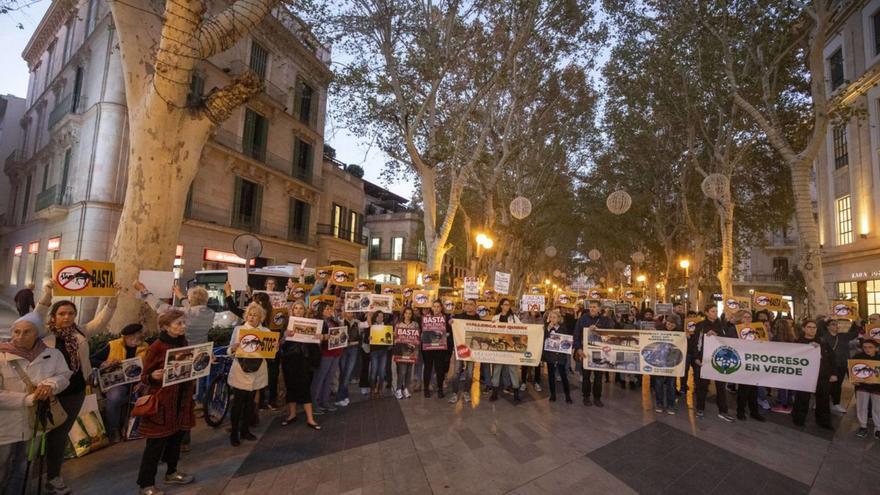 Los animalistas exigen calesas eléctricas en Palma para evitar que los caballos sufran