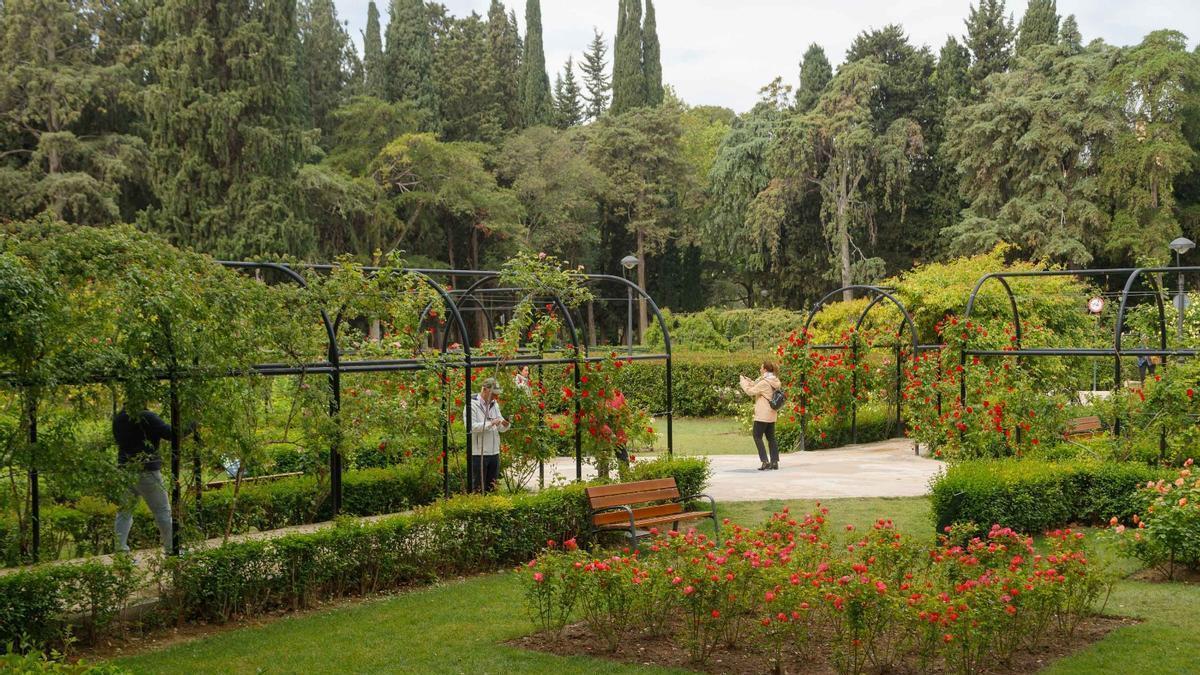 Rosaleda del Parque Grande.