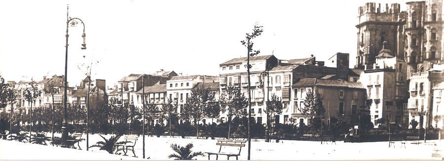 El Parque en ciernes Esta curiosa foto de comienzos del siglo XX nos muestra el Parque de Málaga apenas esbozado por sus palmeras, todavía enanas, y los árboles, unos principantes, lo que permite ver toda la sucesión de edificios de la Cortina del Muelle y la mole de la Catedral, todavía sin bloques que nos privaran de buena parte del Templo Mayor.