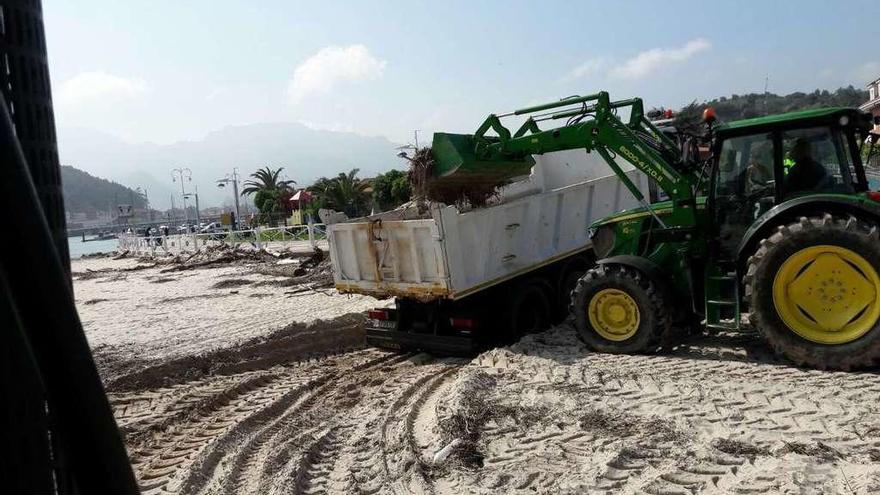 Ribadesella limpia Santa Marina para las vacaciones