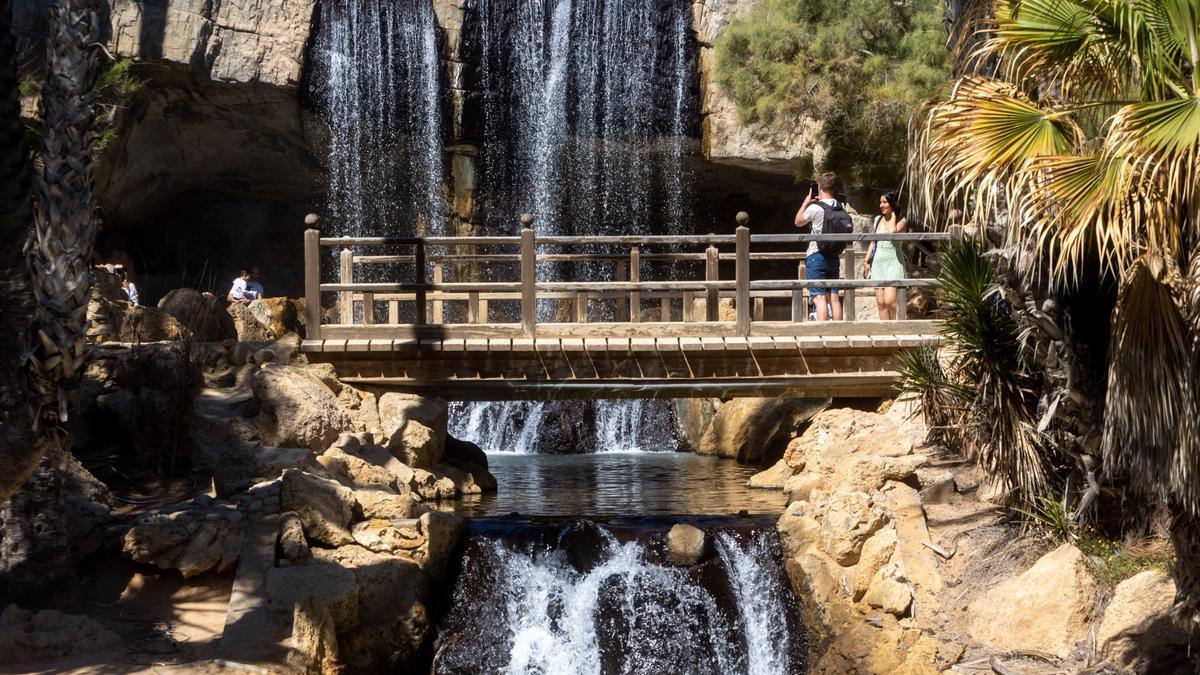 El Palmeral es un pulmón verde para la ciudad de Alicante.