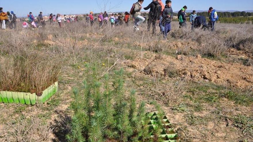 Unos 250 alumnos de Ejea, en el Día del Árbol