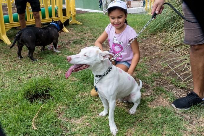 II Feria de Mascotas en Maspalomas