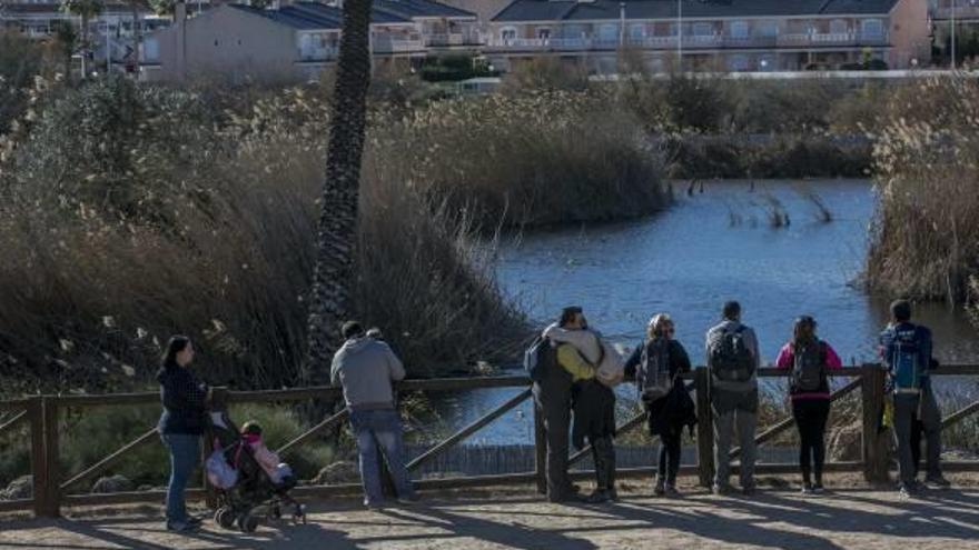 El paraje municipal de El Clot de Galvany, durante una visita guiada.