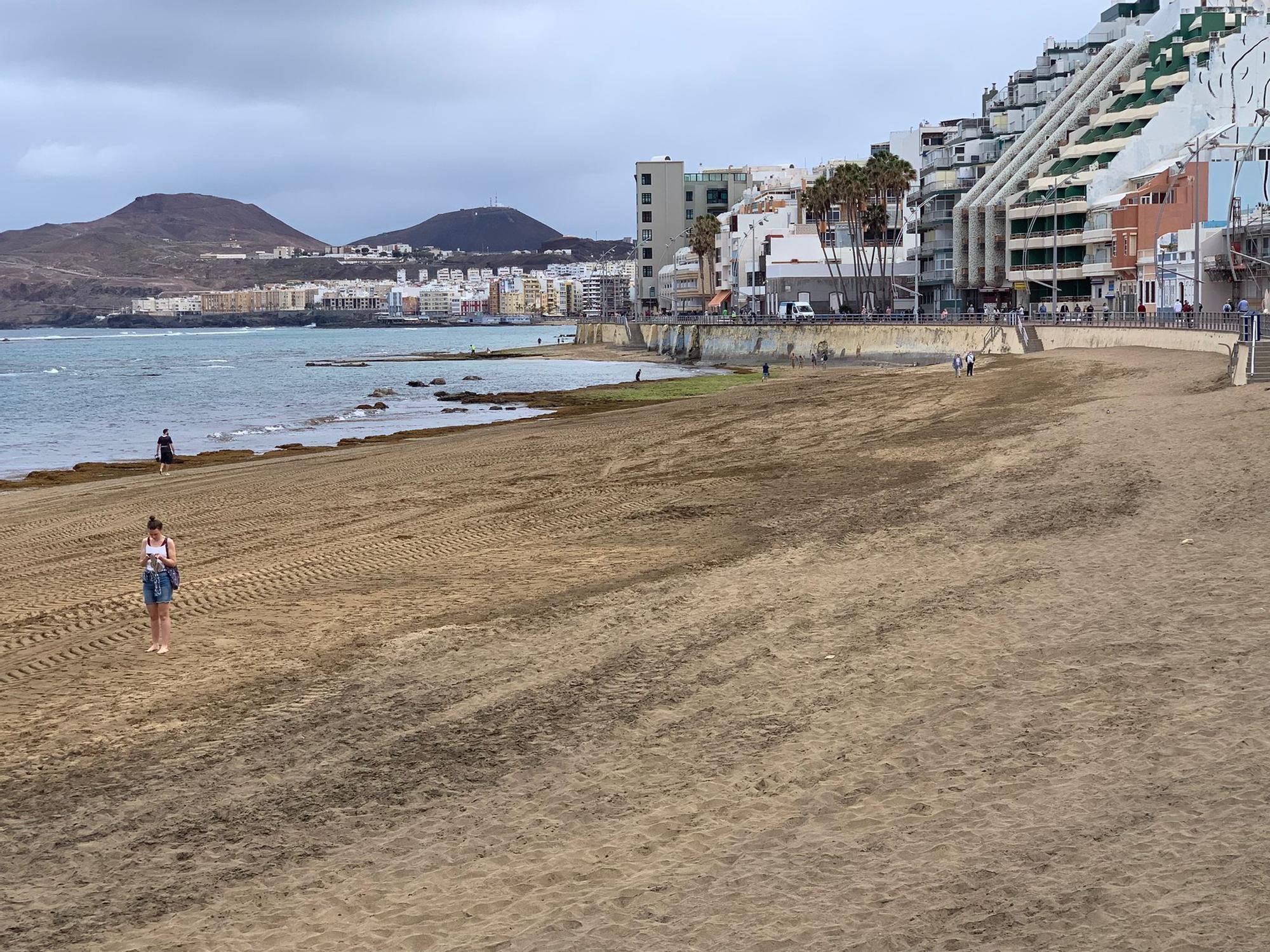 Retirada de seba en Las Canteras