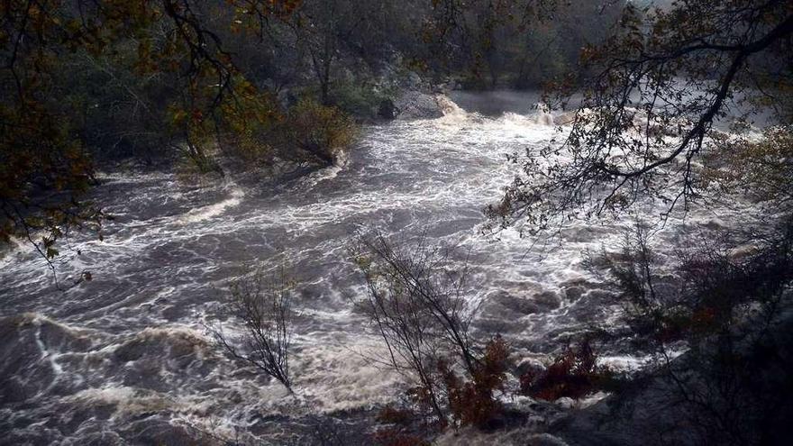 Estado del río Lérez hace unos días tras el paso de la tormenta &quot;Ana&quot;. // Rafa Vázquez