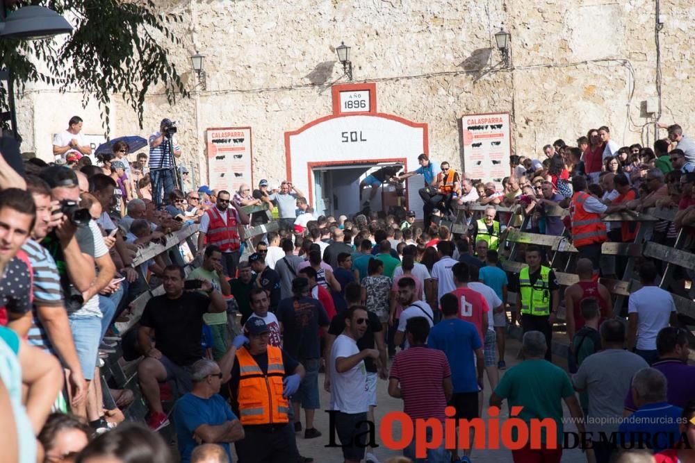 Segundo encierro de Calasparra