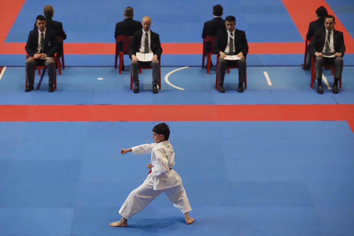 El Campeonato de Andalucía infantil de kárate y de parakárete, en imagenes