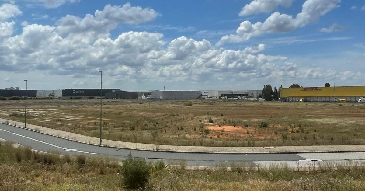 Suelos del Parque Logístico de Carmona que salen a subasta pública.
