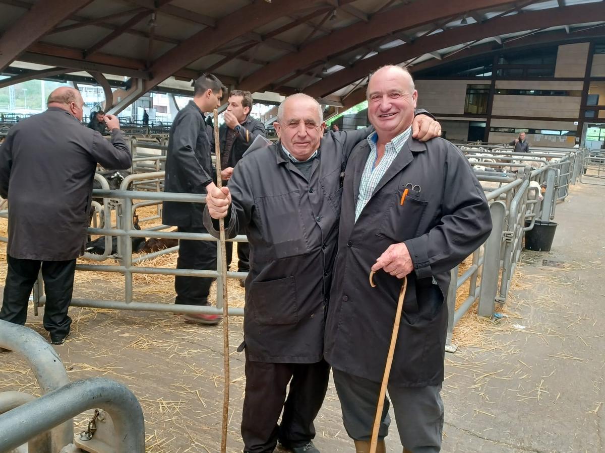 El mercado de ganado de los jueves en Siero: así operan los tratantes en la cita del recinto poleso