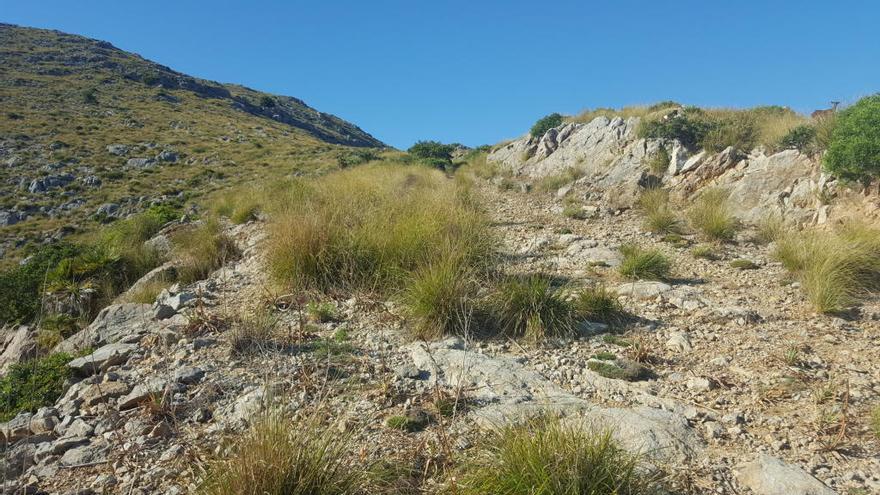 Imagen del sector desclasificado de la urbanización El Vilà de Pollença