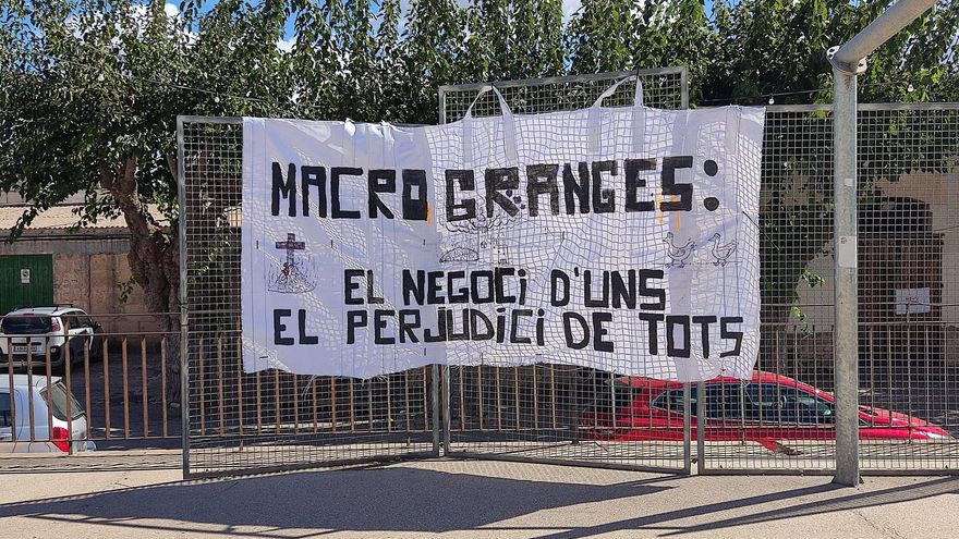 Macrogranjas en Mallorca: Los ingenieros agrónomos piden una regulación unificada y basada en criterios objetivos