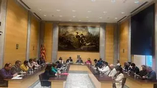 La Diputació de Girona transforma els premis Projecta't en un servei d'assessorament empresarial