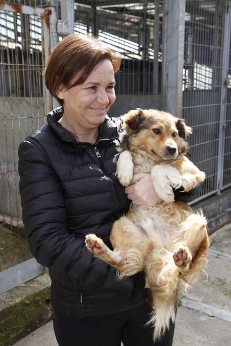 Carmen Moriyón y Maniel Arrieta visitan el Albergue de Animales de Serín