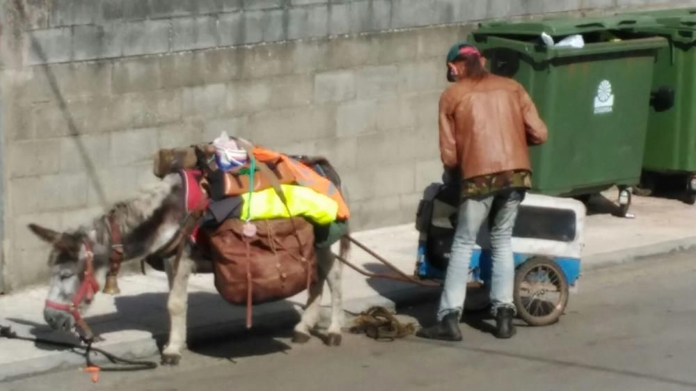 El burro pasando por Luarca