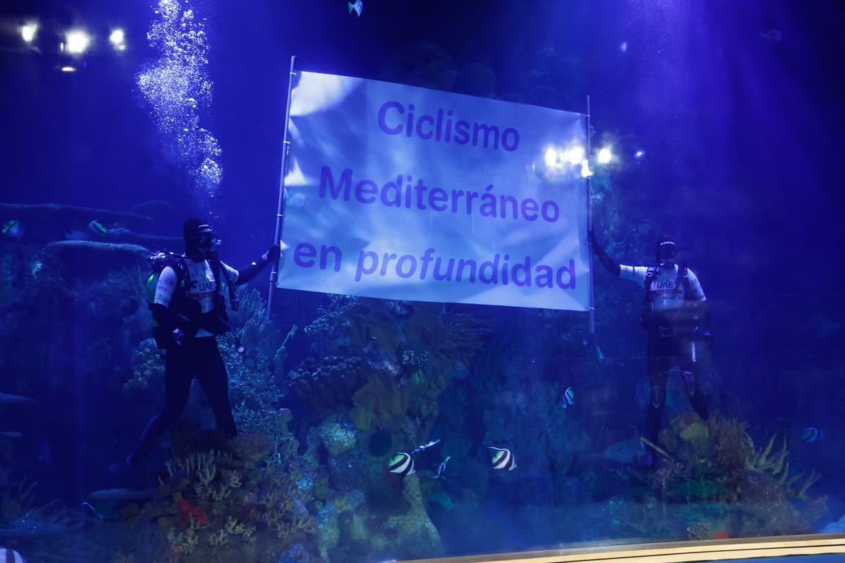 Los buzos de l'Oceanogràfic exhibieron una pancarta