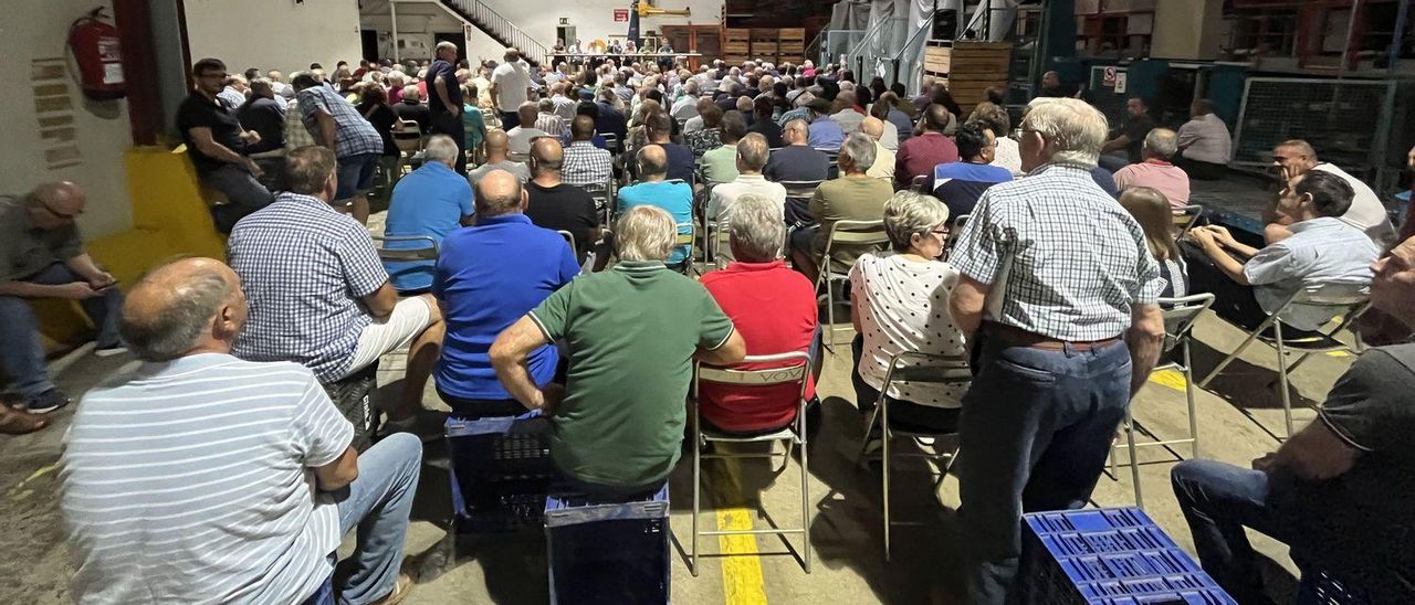 Imagen de archivo de la última asamblea de socios de Cítrics de Nules celebrada en el almacén de la cooperativa.