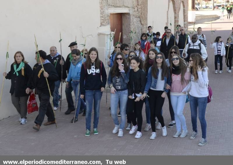 GALERÍA DE FOTOS -  Romería Magdalena 2014 (1)