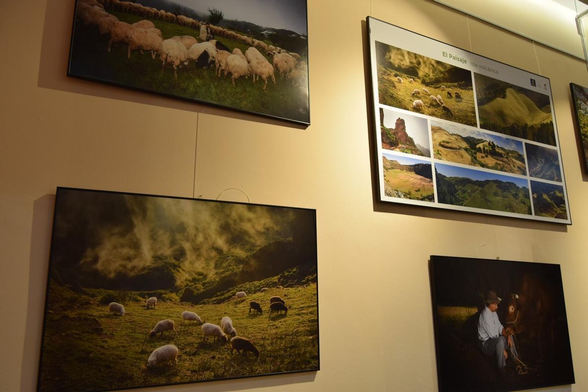 Imagen de la exposición fotográfica 'Pastores de volcanes y alisios'.