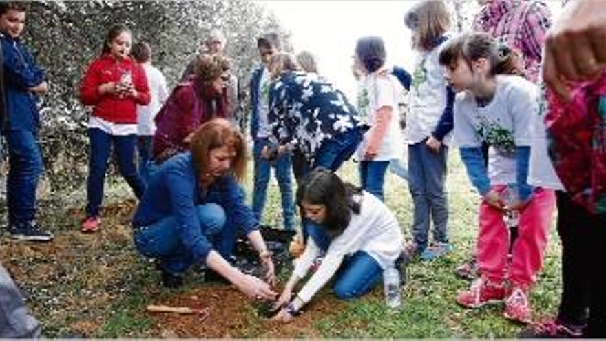 L&#039;Escola de Domeny acull una jornada per formar joves contra el canvi climàtic