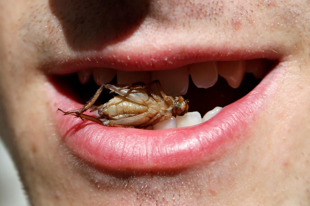 A worker poses with a cricket between his teeth ...