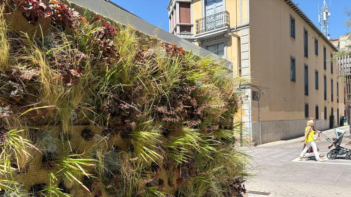 Uno de los jardines verticales instalados por el Ayuntamiento para dar frescor.