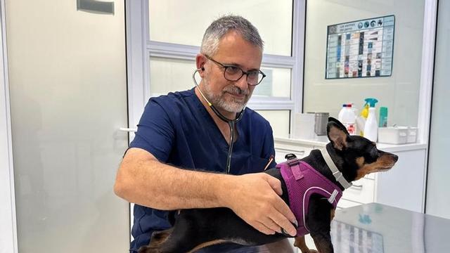 Jordi Sabaté, atenent un gos a la clínica veterinària de la plaça Catalunya