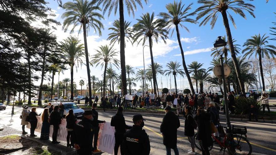 Un centenar de negacionistas protestan contra el pasaporte covid en Palma