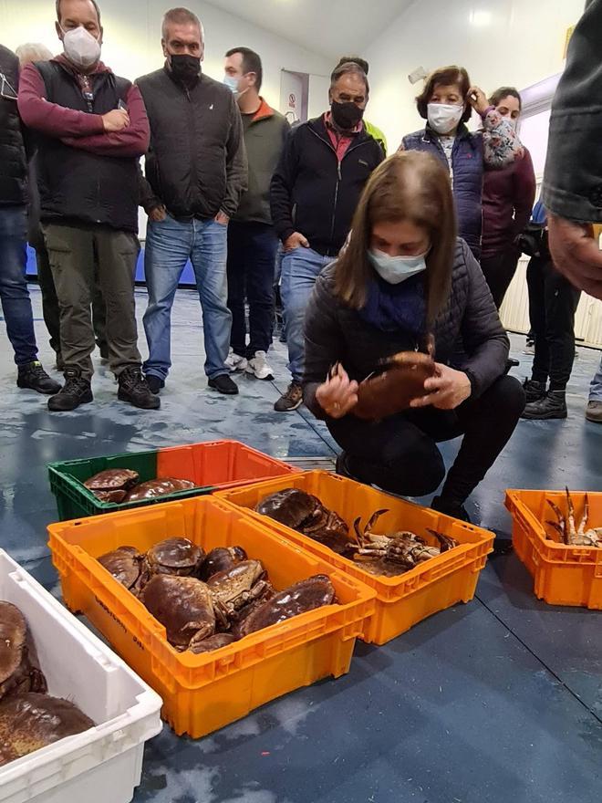 Blanca Cao, una conocida pescantina de O Grove, selecciona los ejemplares de buey de mar que desea tras parar la subasta en torno a los 14 euros el kilo.
